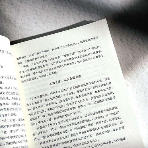 很大很美的教室 诗意语文课堂的构建艺术 大夏书系 董一菲 胡艳 孙奇峰 语文之道 教师成长 商品图10