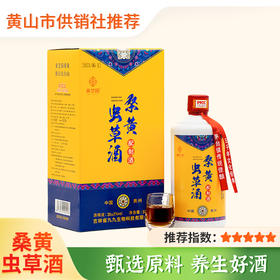 【桑芝园】桑园虫草酒 非保健酒 滋补养生酒 500ml/瓶*2瓶