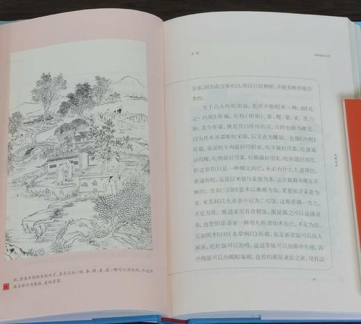 《事物掌故丛谈》（校订本），小精装一函10册，杨荫深编著，上海辞书出版社2020年一版一印，定价498，售价179元。 商品图13