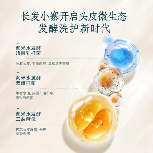 【广西好物】长发小寨淘米水头皮护理洗发水控油滋养清爽蓬松去屑止痒组合【下单即赠：洗发水50ml+养发乳50ml+控油滋养50ml+去屑滋养50ml】 商品图6