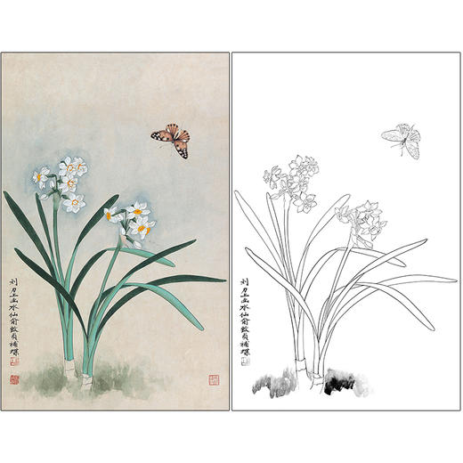 俞致贞花鸟工笔画白描底稿竖幅《水仙蝴蝶》临摹勾线高清打印稿ZZ31 商品图0