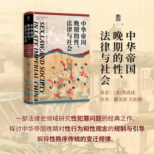 大学问 中华帝国晚期的性、法律与社会 (美)苏成捷/著 实践社会科学系列 法律史 性犯罪问题研究 广西师范大学出版社 商品图4