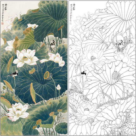 俞致贞花鸟工笔画白描底稿荷花《清露》临摹勾线高清打印稿ZZ26 商品图0