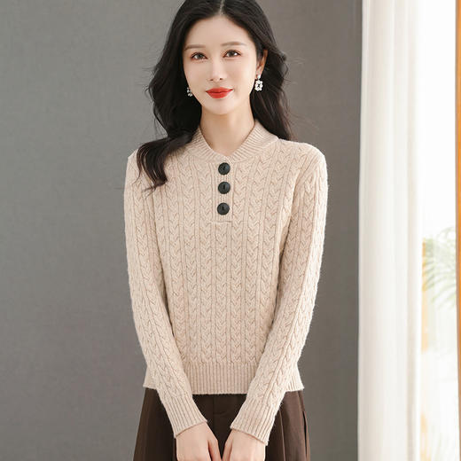 CC-QQH-9165立领毛衣秋冬女小个子2024新款洋气针织上衣打底衫内搭可外穿 商品图3