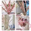 赠送营养液【特殊商品/请提前看售后须知】10支珍珠李鲜花干枝重瓣水培桃枝花植物樱花卉室内干花束水养干支 商品缩略图3