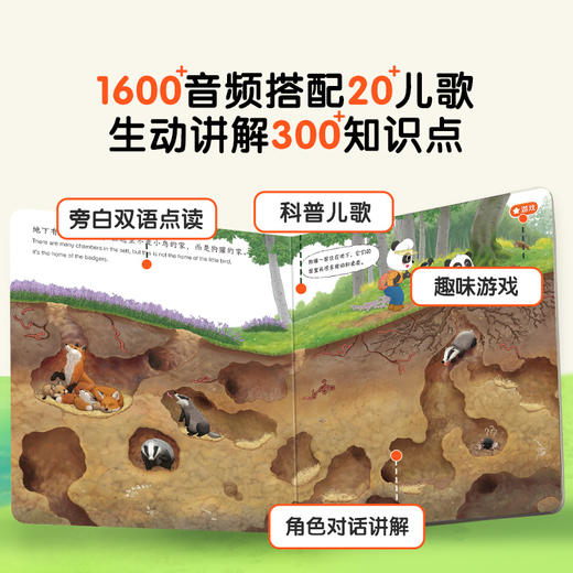 【点读版】神奇的自然世界/4册 商品图2