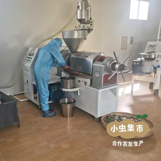 高原生态菜籽油（精炼油） 1.5L/2.5L | 合作农友生产，产自云南香格里拉，生产者：李忠青 *【公平贸易农人定价】 商品图8