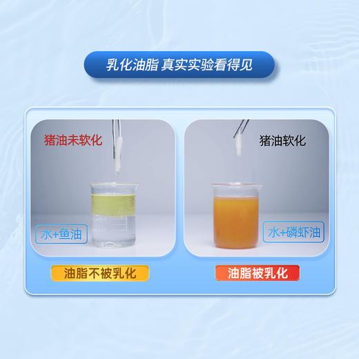 【跨境】诺威佳 阿蒙森磷虾油  NYO3挪威进口森纯南极磷虾56%磷脂大升级omega-3 商品图4