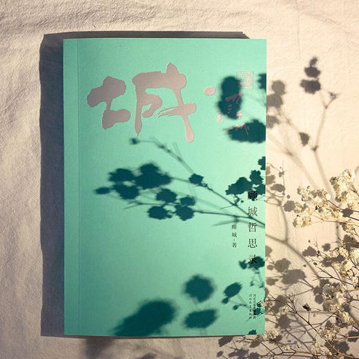 顾城哲思录（纪念版）：一个人应该活得是自己并且干净。一本洞察世事、洞察自我的答案之书 商品图3