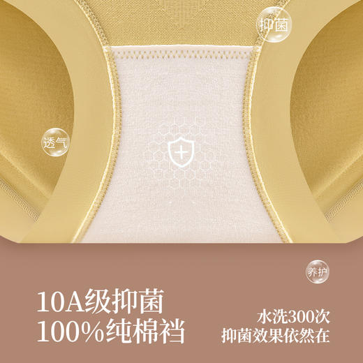 狄菲俪诗·金绷带升级美塑裤 | 高腰收腹提臀，穿上立显好身材，10A级抑菌 商品图12