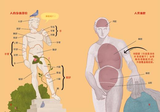 认识我们的身体-神奇的大脑与神经+神奇的人体之旅 商品图10