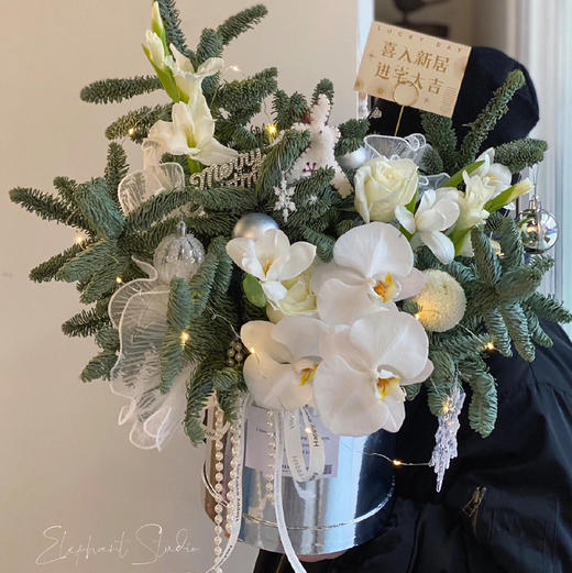 《冰雪奇缘》圣诞节平安夜乔迁白绿色抱抱桶 商品图0