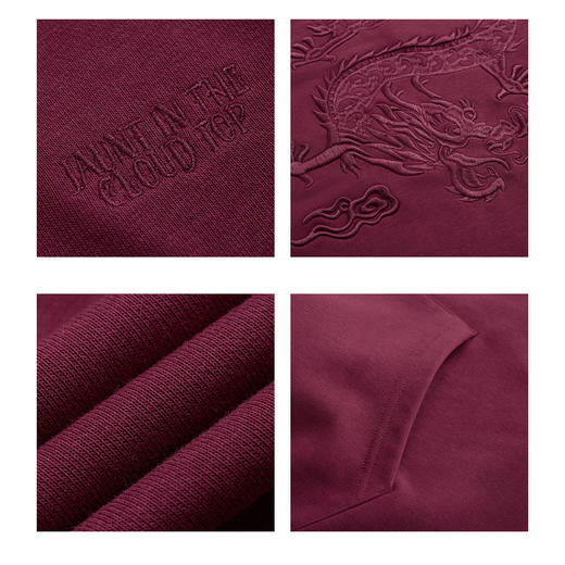 gxg.jeans男装 春季热卖潮流时尚休闲好搭经典连帽卫衣JFX13100151 商品图3