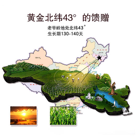 老爷岭荞麦I 高粱I 玉米面条300g 商品图4