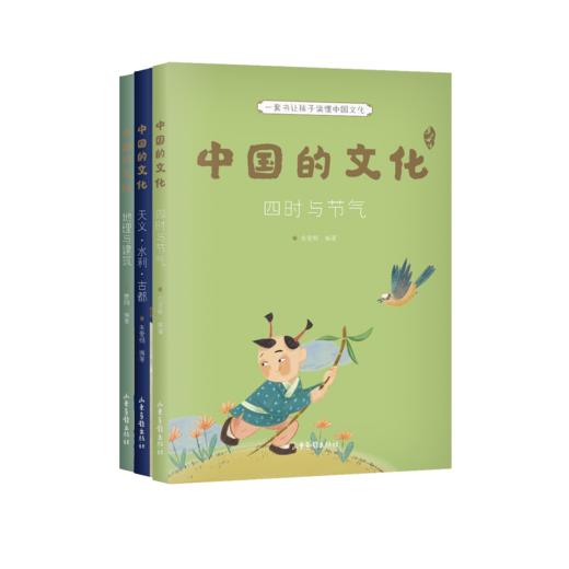 【历史专场】中国的文化（全12册） 商品图4