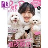 预售 【中商原版】宠物时尚广场 vol.11 道枝骏佑 日文原版日韩 ペットポップスクエア vol.11 商品缩略图0