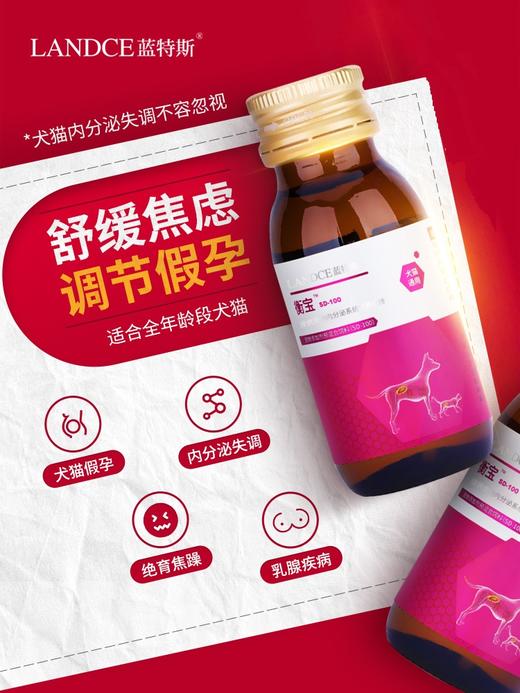 蓝特斯衡宝狗狗调节调理激素平衡宠物内分泌失衡猫咪假孕缓解焦虑 商品图0