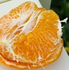探蜜熊大雅柑|推荐一款柑橘，探蜜熊大雅蜜柑，限量版，柔软脆绿的皮轻轻一扯就全开了，里面藏着一片片的柔情蜜意，清新又温暖，难忘～ 商品缩略图4