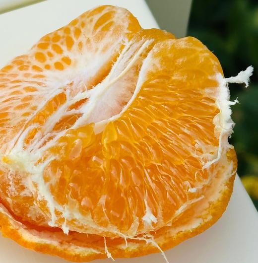 探蜜熊大雅柑|推荐一款柑橘，探蜜熊大雅蜜柑，限量版，柔软脆绿的皮轻轻一扯就全开了，里面藏着一片片的柔情蜜意，清新又温暖，难忘～ 商品图4