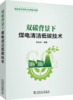 双碳背景下  煤电清洁低碳技术 商品缩略图0
