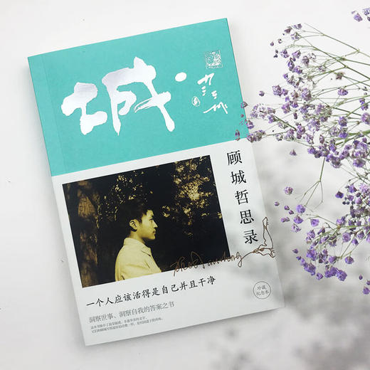 顾城哲思录（纪念版）：一个人应该活得是自己并且干净。一本洞察世事、洞察自我的答案之书 商品图1