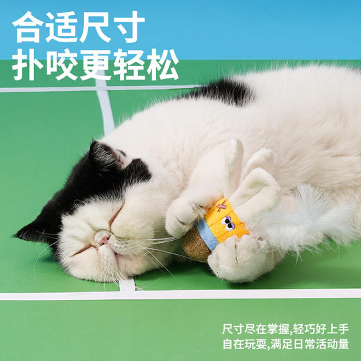 zeze羽毛球猫薄荷球玩具-B （包邮） 商品图2