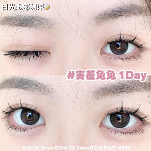 日抛活动：Sondercon日抛活动 商品图2