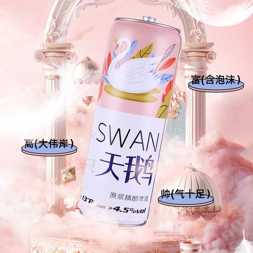 六只天鹅原浆啤酒10L 商品图4