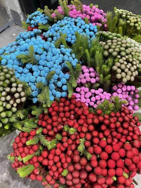 南非进口珊瑚果鲜花花1扎