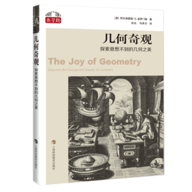 几何奇观——探索意想不到的几何之美（数学桥丛书第三辑）