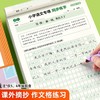 【书行】小学同步练字帖一年级二年级三年级四年级五六年级下册字帖描红字贴人教版语文同步小学生硬笔练字帖专用正版每日一练 商品缩略图3