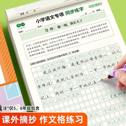 【书行】小学同步练字帖一年级二年级三年级四年级五六年级下册字帖描红字贴人教版语文同步小学生硬笔练字帖专用正版每日一练 商品图3