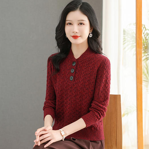 CC-QQH-9165立领毛衣秋冬女小个子2024新款洋气针织上衣打底衫内搭可外穿 商品图2