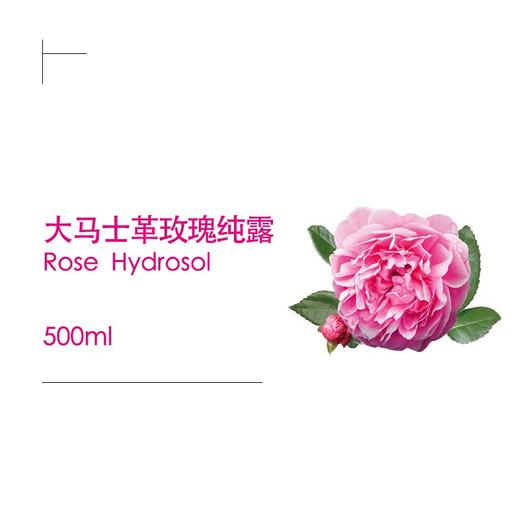 大马士革玫瑰纯露 商品图0