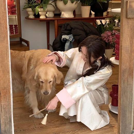 金蘑菇菇 山有木兮 木有枝/ 新中式刺绣 提花 手工盘扣锦缎外套 商品图1