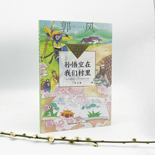 【入选小学阅读指导书目1-6年级】《一园青菜成了精》《我们的母亲叫中国》《孙悟空在我们村里》暖心美读书大奖作品 商品图9