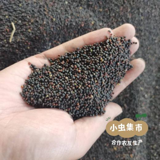 高原生态菜籽油（精炼油） 1.5L/2.5L | 合作农友生产，产自云南香格里拉，生产者：李忠青 *【公平贸易农人定价】 商品图12