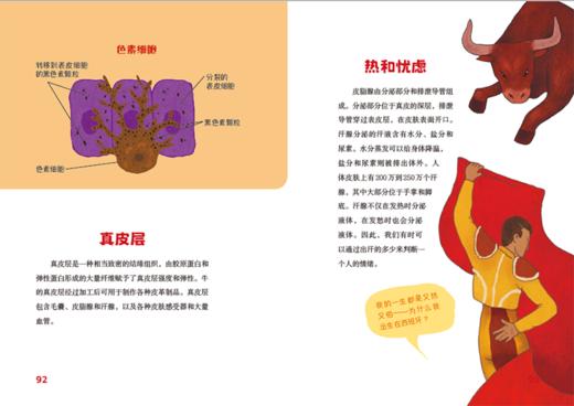 认识我们的身体-神奇的大脑与神经+神奇的人体之旅 商品图14