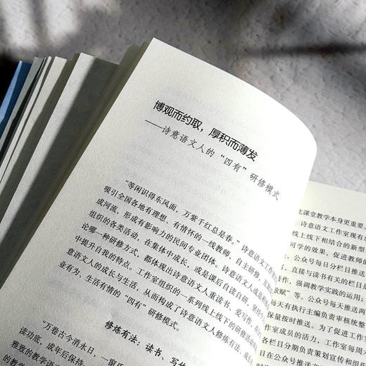 很大很美的教室 诗意语文课堂的构建艺术 大夏书系 董一菲 胡艳 孙奇峰 语文之道 教师成长 商品图8