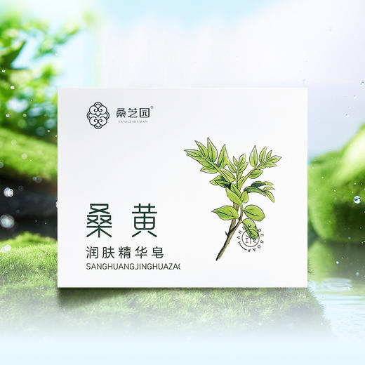 【桑芝园】桑黄润肤精华皂 手工皂 男女洗澡沐浴皂 洗手香皂 商品图1