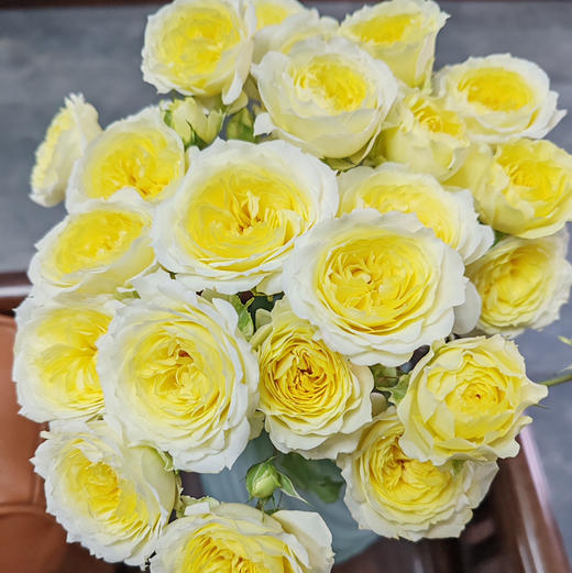 多头玫瑰.暖暖 商品图0