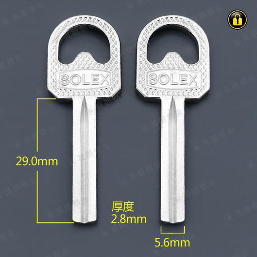 〖1109〗有槽月亮金刚 商品图0