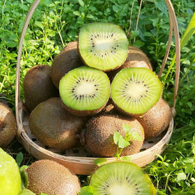 【分仓直发包邮】海沃德绿心猕猴桃4.5斤