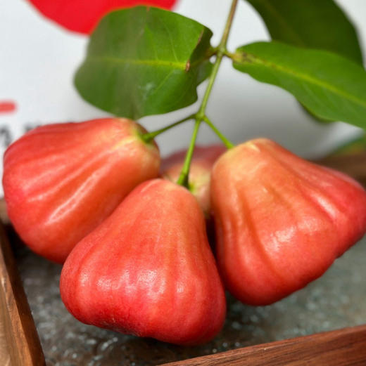 海南三亚·牛奶莲雾清甜水润口感脆嫩嫩顺丰空运包邮下单从海南发货 商品图7