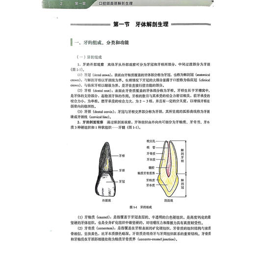 口腔医学 第5版 第五轮十四五普通高等教育本科规划教材 周永胜 林正梅主编 供基础临床护理预防口腔中医药学医学技术类等专业用 商品图4