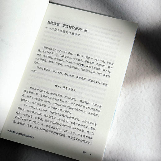 很大很美的教室 诗意语文课堂的构建艺术 大夏书系 董一菲 胡艳 孙奇峰 语文之道 教师成长 商品图7