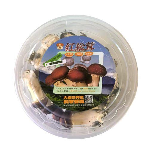 清新禾云红松茸鲜品 1斤 商品图1