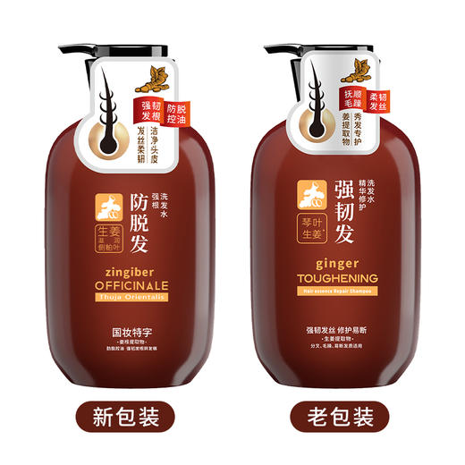 琴叶生姜滋润侧柏叶防脱发强根洗发500M 商品图3