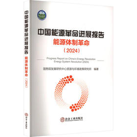 中国能源革命进展报告 能源体制革命(2024)