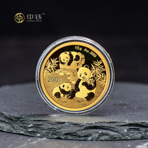 2025年熊猫金币 1克3克8克15克30克金猫 金套猫 商品图1